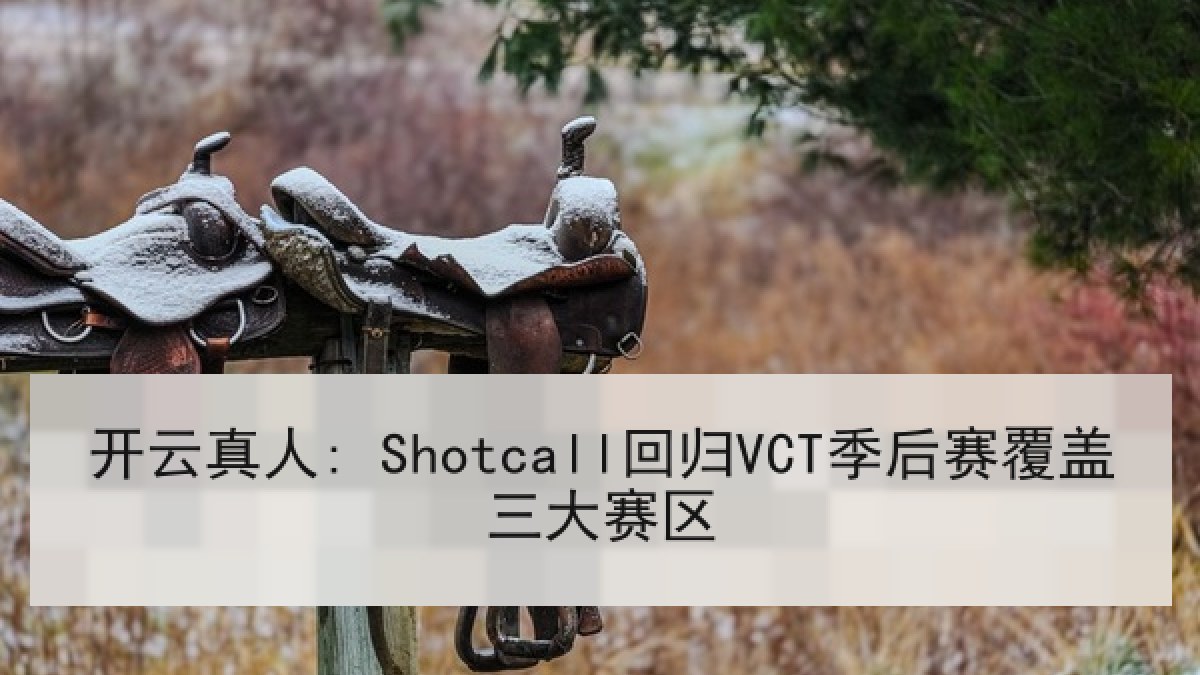 开云真人: Shotcall回归VCT季后赛覆盖三大赛区
